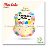 Mini Cake Colorful