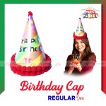 Birthday Cap Regular Dana